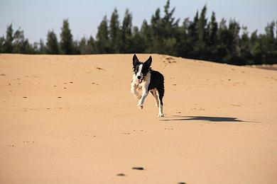 《甘霖娘女巫》登陆Steam 奇葩恐怖驱魔新游